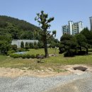 +공주+ 공주횟집 어도활어참치 점심특선 한상 메뉴 후기