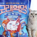 모래모래