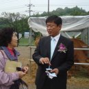 대관령축산 이미지