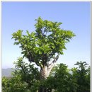 산청산골박물관 이미지