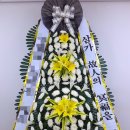 영월전국꽃배달