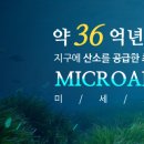 엠에이환경