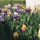 미니농장 이미지