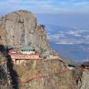 늑대와 여우 이미지