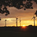 라온 골프 스튜디오 이미지