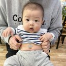 원두막정든집 | [과거일기] 육아기록D+201~220일(7개월아기,식물원카페,크리스마스트리)