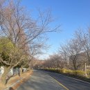 탄동천2 이미지