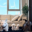 포르테 해운대 | 포르테 해운대 패러그라프 오션뷰 페텔 애견 동반 숙소