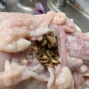 하림통닭 네이버블로그