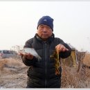 보덕주