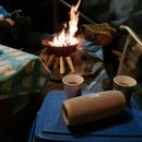 월드니스 이미지