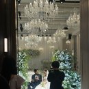 더 화이트 소파 | [웨딩홀] 루클라비 더화이트 쇼케이스 후기 (강남 밝은홀, 예식장, 신부대기실 플라워 컨셉)