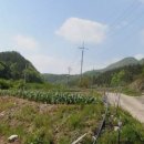 영천 티스토리