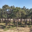 여주-0962 이미지