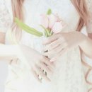 돌담이 이미지