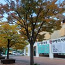 인천산곡초등학교 | 부평역사박물관_도시기록법(~내년6월21일까지)