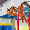 태권도 지화자 이미지