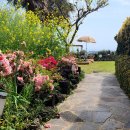 별장서홍 이미지