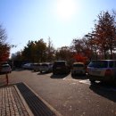 해돋이공원(바닥분수 옆) | 인천 송도 가족여행 가볼만한곳 추천 , 해돋이공원 놀거리