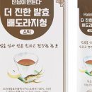 발효진심