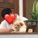 오빠야농장 | DAY3 빠질 수 없는 나트랑 사막투어