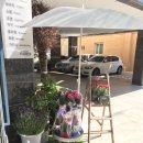 정인플라워 이미지