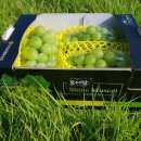 모서농업협동조합 이미지