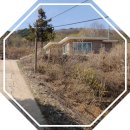 삼일부동산중개 이미지