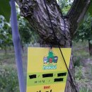 하울농장 이미지