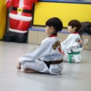 용인대 화랑 태권도 이미지