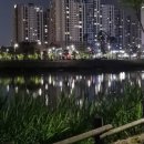 버거킹 평택지제동삭점 이미지