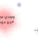 컨페티 뷰티