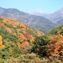 가을여행 이미지