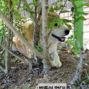 즐거운 농장 이미지