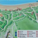 신성리생태공원 이미지