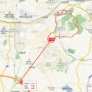 Y프라자 이미지