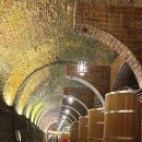 와인터널 이미지