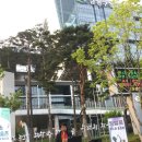 금천구청 이미지