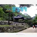 작은새재 Daum카페