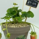 종덕초등학교병설유치원 이미지