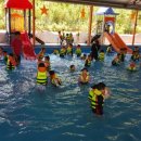 시립월영어린이집 이미지