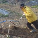 아내의 텃밭 이미지