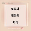 매화휘트니스 이미지