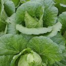 관악산현대홈타운 이미지