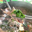 산골뜰안집 | [하남/상산곡] 자연과 함께하는 유황 오리 백숙 맛집 &#39;산골뜰안집&#39; 후기