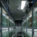 이준열대어 이미지