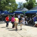 안정초등학교 이미지