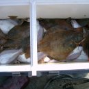 현대낚시 이미지