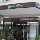 그린민박 이미지