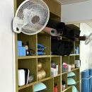 필라테스 재이 | 창원 성주동 재활 필라테스 리얼후기 '더그린 필라테스' 추천!